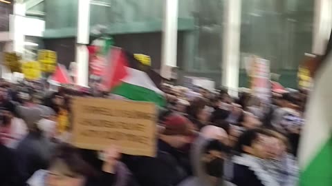 Pro-Gaza New Yorkers marching on 1/1/2025.