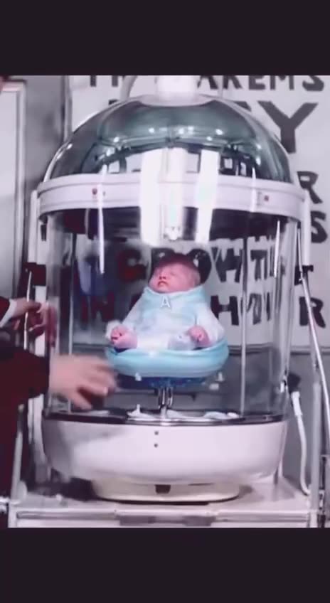 The Last Great Reset and the Incubator Babies