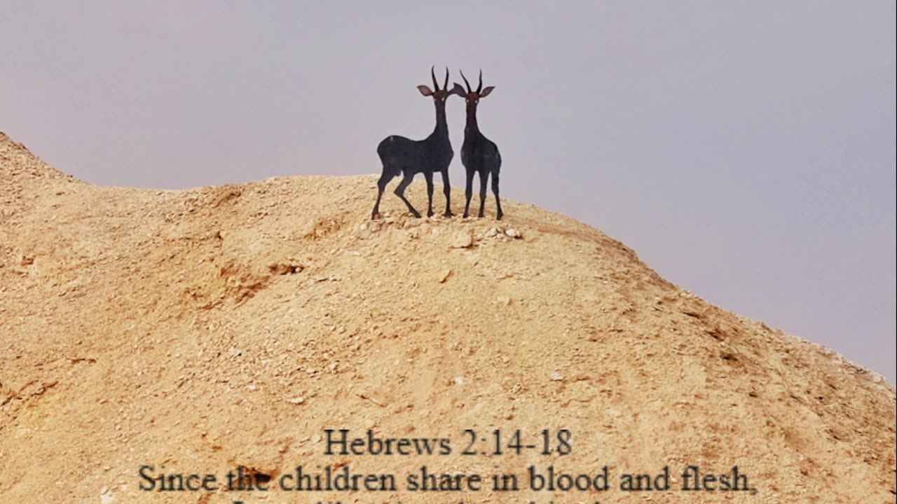 A reading from the book of Hebrews, 2:14-18