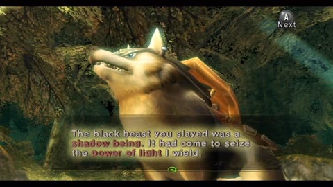 The Legend of Zelda: Twilight Princess Playthrough (Wii) - Part 4