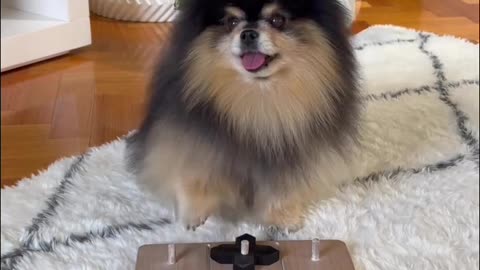 Playing game with MOCHA