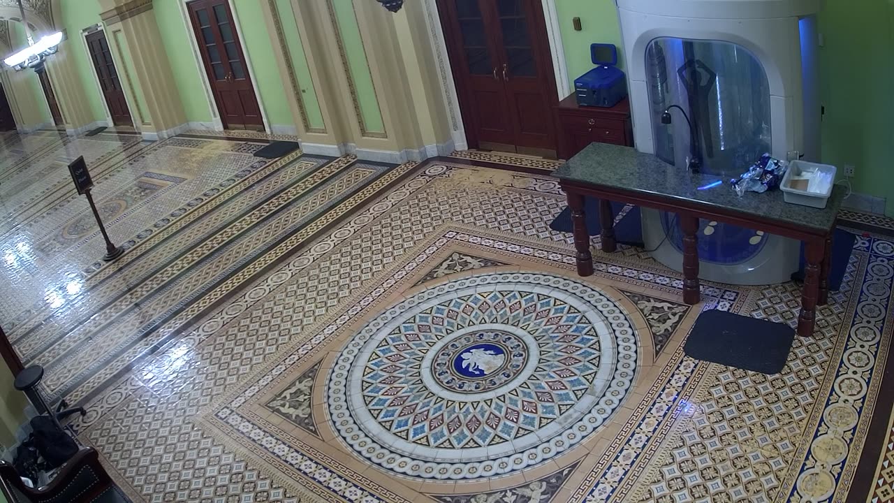 0303USCS03SenateGallerySEnearS309_2021-01-06_22h33min19s947ms.mp4