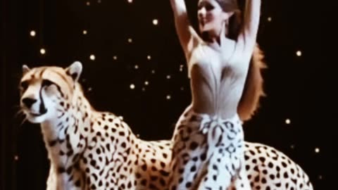 The Impossible Duet: A Cheetah and a Human Dance