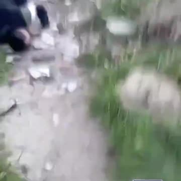 Muslims are forcing other Muslims to crawl and bark like dogs as Syria descends