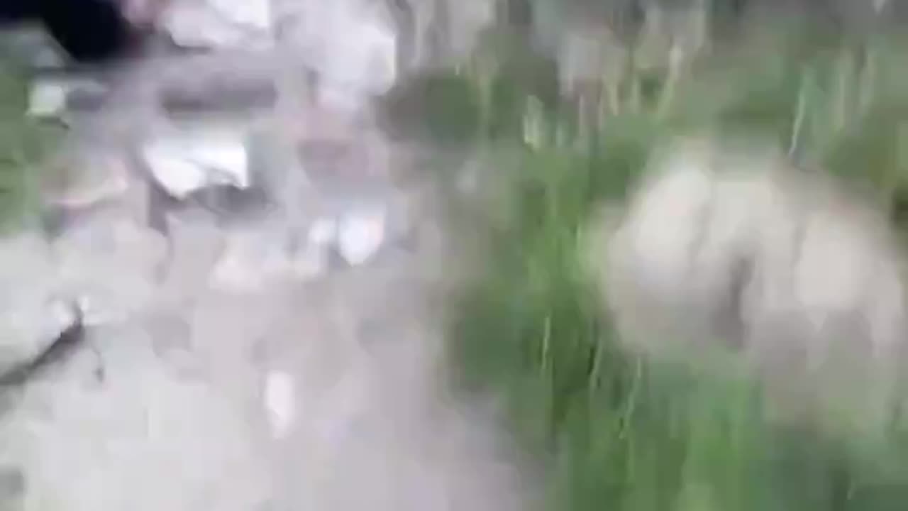 Muslims are forcing other Muslims to crawl and bark like dogs as Syria descends