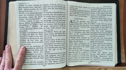 The Book Of Acts Chapters 10-12