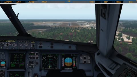 Landing in Savannah (KSAV)