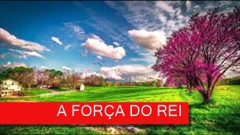 A FORÇA DO REI