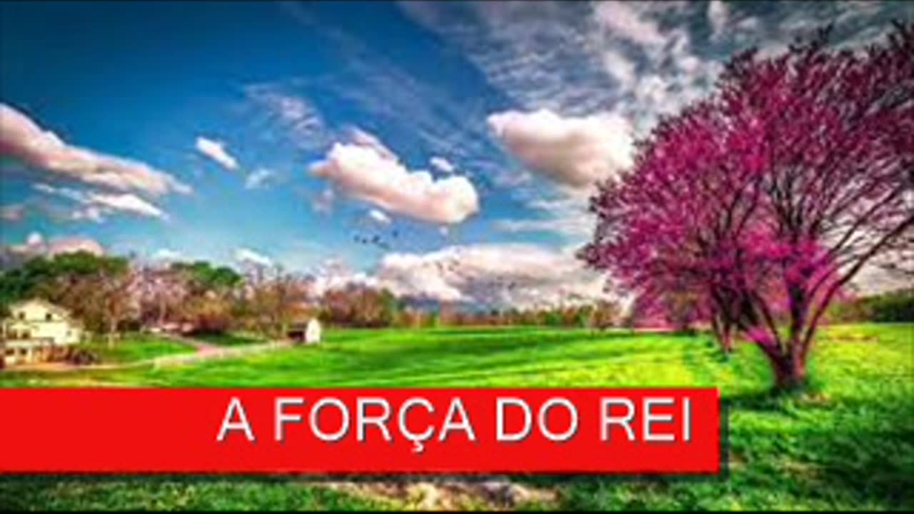 A FORÇA DO REI