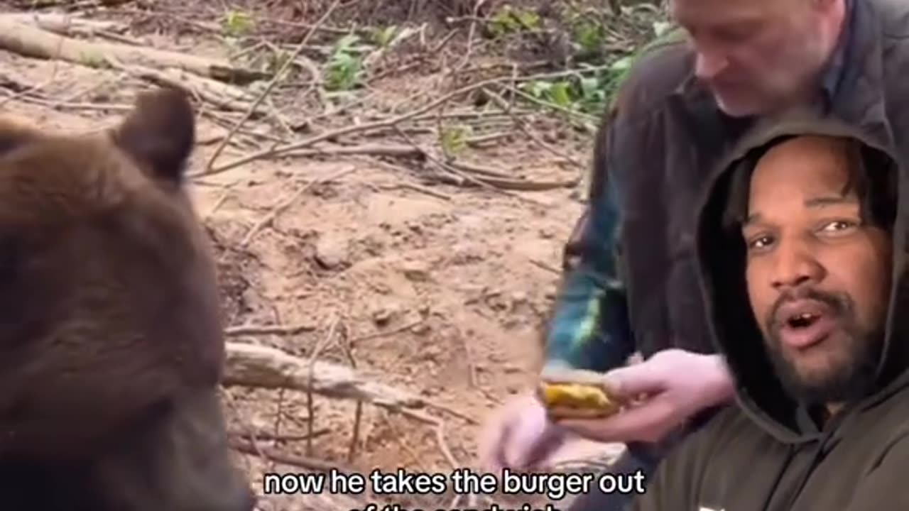 True Story - Bear Don't Want McDonald's