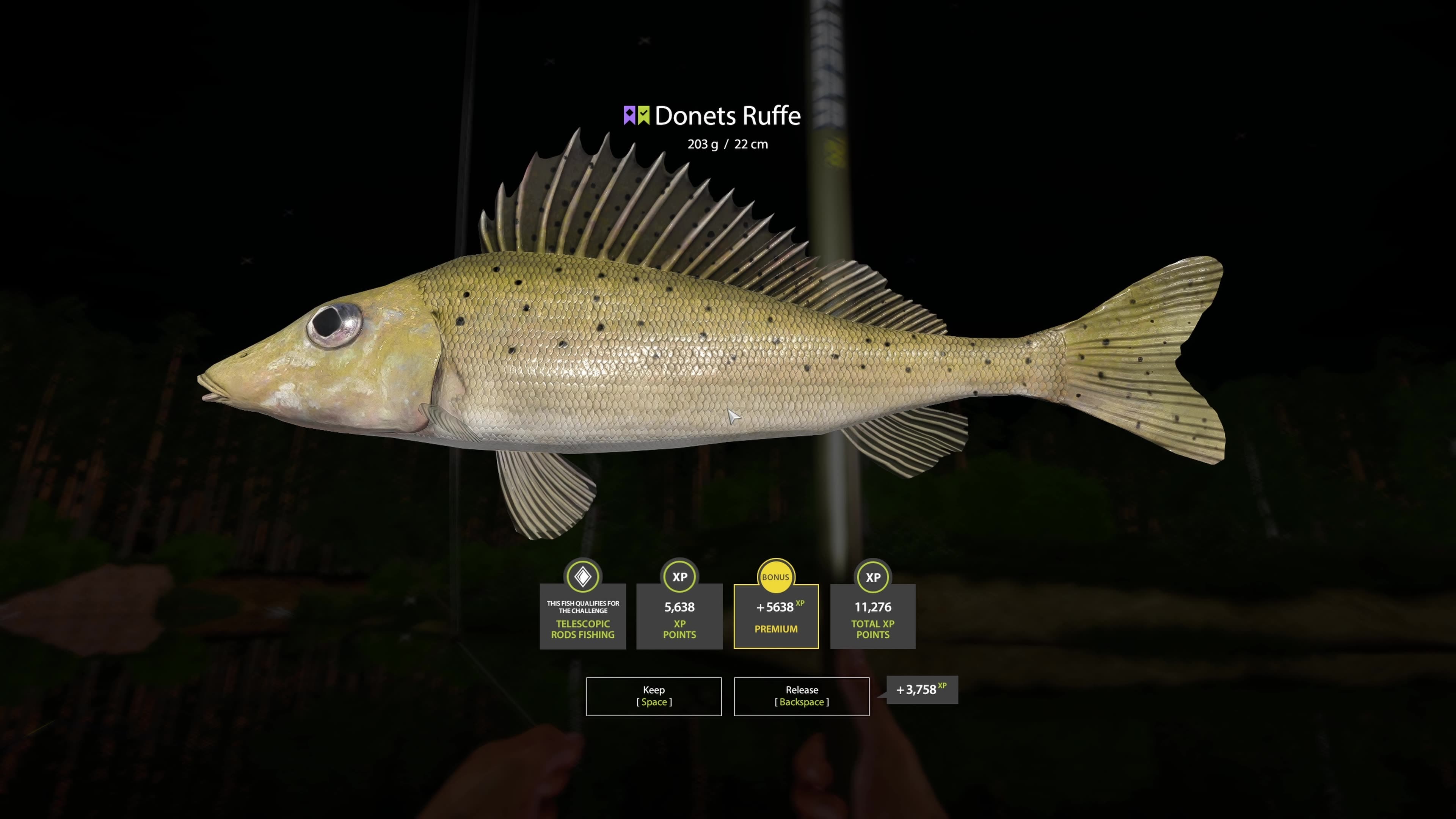 203 g Donets Ruffe, Winding Rivulet, Russian Fishing 4, PC game