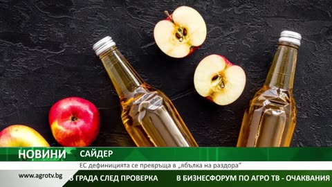 ДЕФИНИЦИЯТА ЗА САЙДЕР ПРЕДИЗВИКА РАЗДОРИ В ЕС