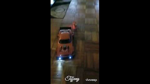 Feisty Kitten vs RC car