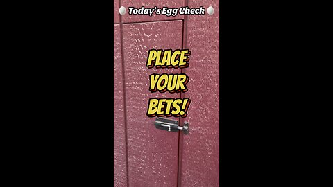 🥚 Today’s Egg Check! 🥚