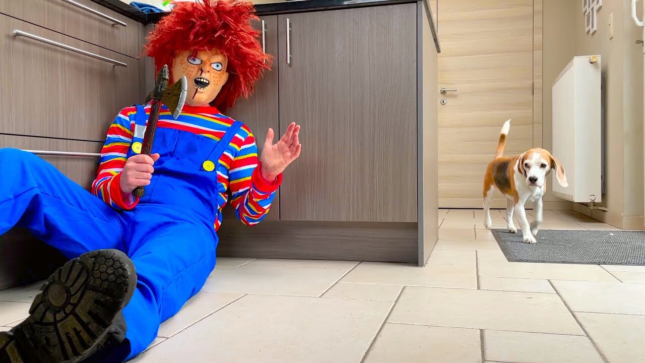 Pranking My Dog with a Scary Chucky Costume goes WRONG!!!