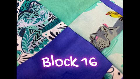 City Sampler: 100 Days 100 Blocks Challenge - Block 16