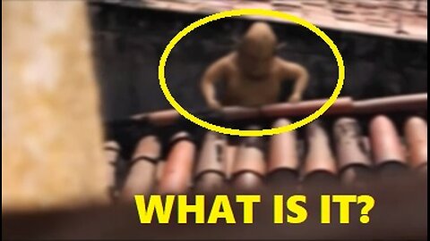 Top 15 Strange Creatures Caught on Camera