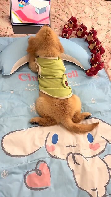 I watched cartoons all afternoon and I still want to watch more!