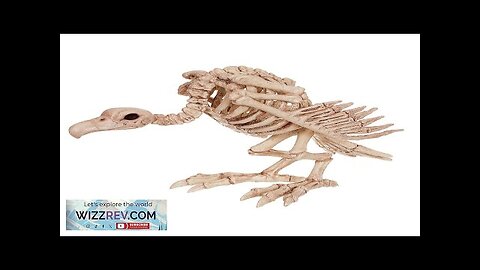 Skeleton Vulture Decoration Review