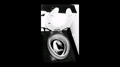 flush