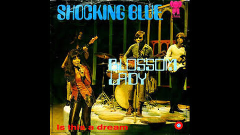 Shocking blue Blossom Lady