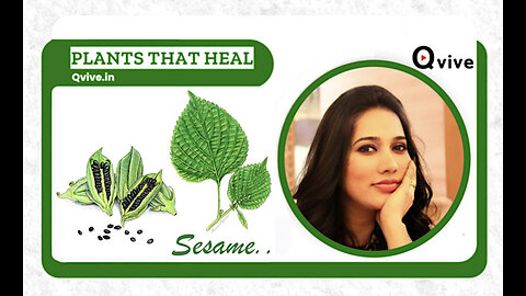 Plants That Heal – Episode 7 |Sesame | Pooja Francis