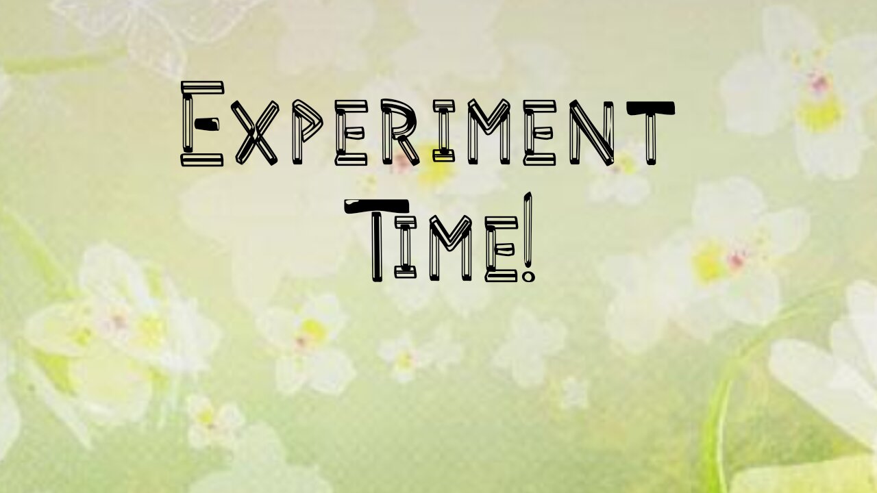 Experiment time!