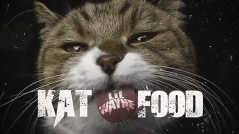 Lil Wayne - Kat Food (Official Visualizer Video With 432 hertz Audio)