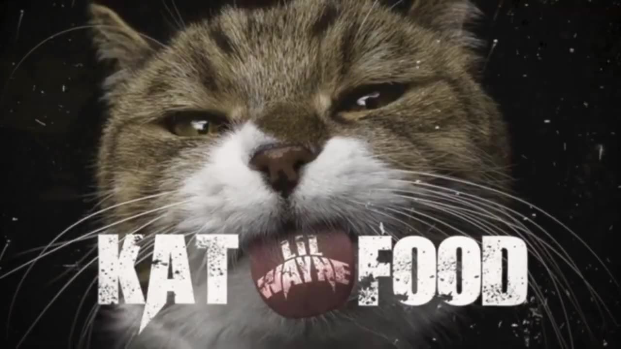 Lil Wayne - Kat Food (Official Visualizer Video With 432 hertz Audio)