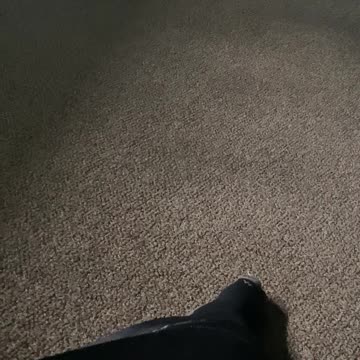 I made a dying rats sound effect