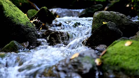 Relaxing water sounds. Peaceful ambience for spa, yoga, and relaxation.