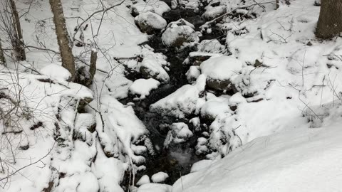 Snow Brook 1-5-25