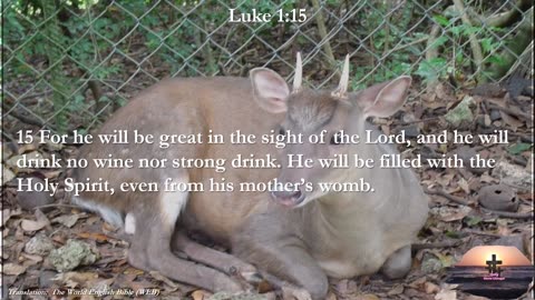 Luke 1:15