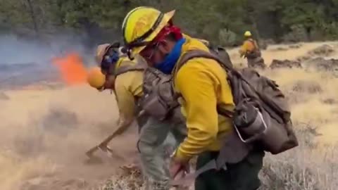 FIRE: Mexican President Claudia Sheinbaum sent 100 firefighters to LA