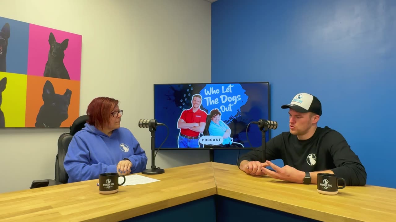 Dog FREEZES When Cars Pass? Fixing Walk Issues, Elevator Training & Dogs in Heat! 🚗🐶 — Q&A Ep. 040