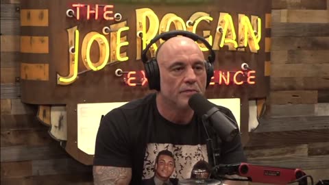 Joe Rogan Says Protests Against Elon Musk Are Organized by Those Who Will Lose a Ton Over DOGE