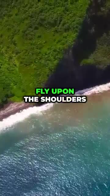 New Home to be to the North-West (Europe) - Proof 06