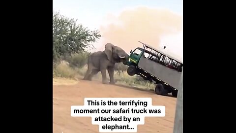 GIANT ELEPHANT ATTACK🌳🚛🐘🌵📸TOURIST-TOUR-TRUCK IN SAFARI🌲🌿🐘🚛💫