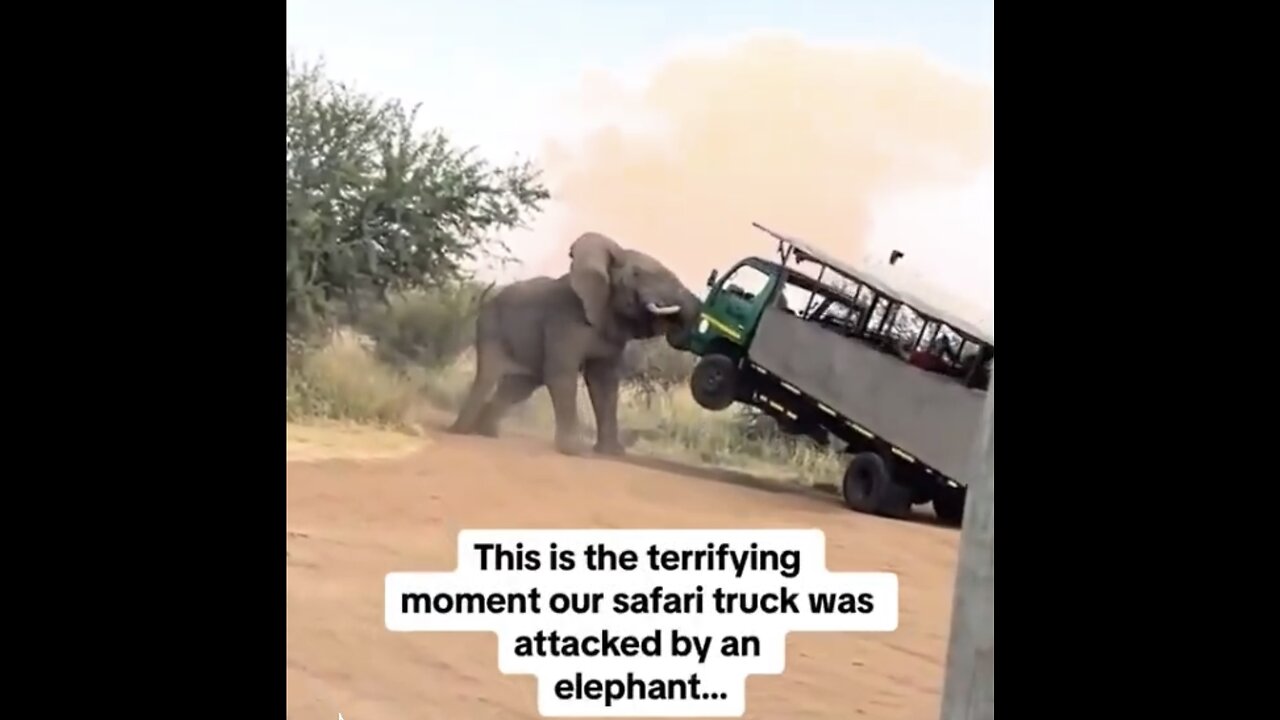 GIANT ELEPHANT ATTACK🌳🚛🐘🌵📸TOURIST-TOUR-TRUCK IN SAFARI🌲🌿🐘🚛💫