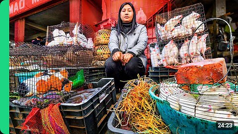 India's SCARIEST Meat Market!! Rats, Cats, Dogs and More in Nagaland!!