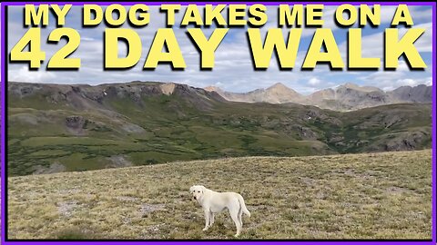 My Dog take me on a 42 Day Walk!