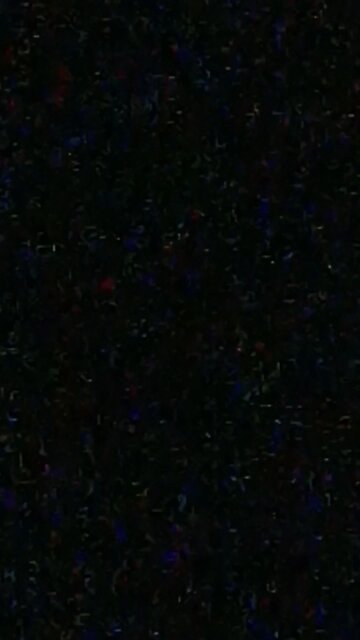 owl in a Tree owl in a tree