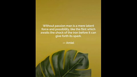 Your Qoute For A Day 54