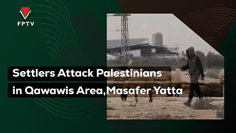 Settlers Attack Palestinians in Qawawis Area, Masafer Yatta