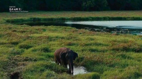 beautiful sri lanka❤️ 🇱🇰