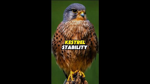 Kestrel Stability