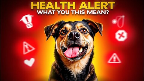 Health Alert: Why Do Dogs Stick Out Their Tongues When They're Sick?