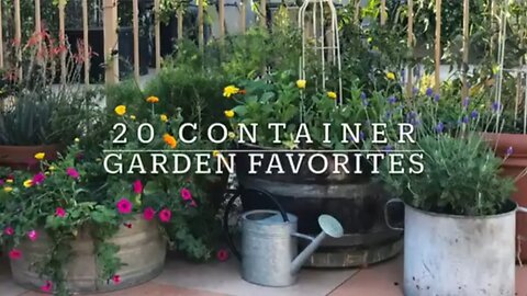 20 BEST Vegetables, Fruits & Herbs for CONTAINER GARDENING