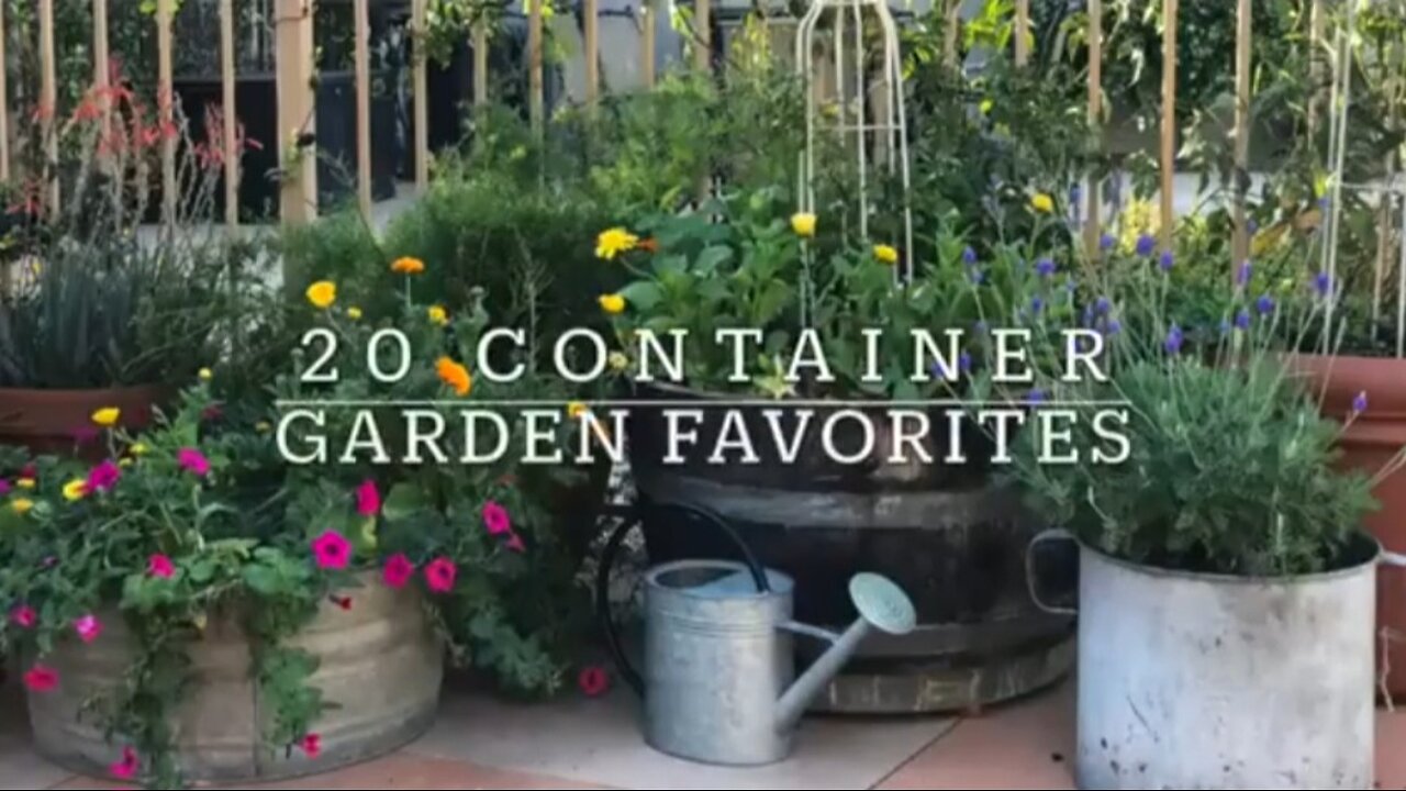 20 BEST Vegetables, Fruits & Herbs for CONTAINER GARDENING