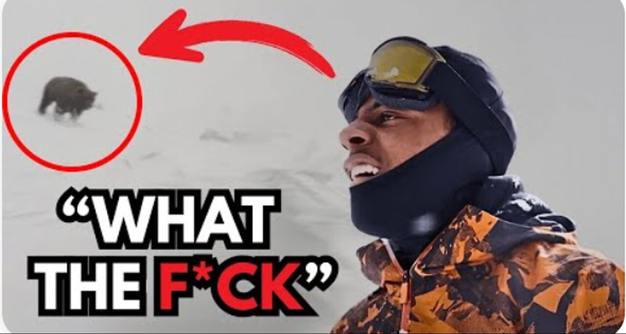 12 Times Streamers Get Attacked By Animals!